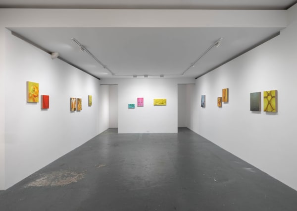 Tao Siqi | "Trembling" Installation Views | 2022 Images courtesy of Fortnight Institute New York ©Tao Siqi