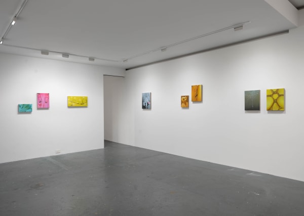 Tao Siqi | "Trembling" Installation Views | 2022 Images courtesy of Fortnight Institute New York ©Tao Siqi