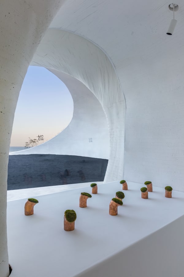 Installation view of “Alice Wang: The Touching Touched,” UCCA Dune, 2023. Courtesy UCCA Center for Contemporary Art. “王凝慧：触之可觉”展览现场，UCCA沙丘美术馆，2023。图片由UCCA尤伦斯当代艺术中心提供。