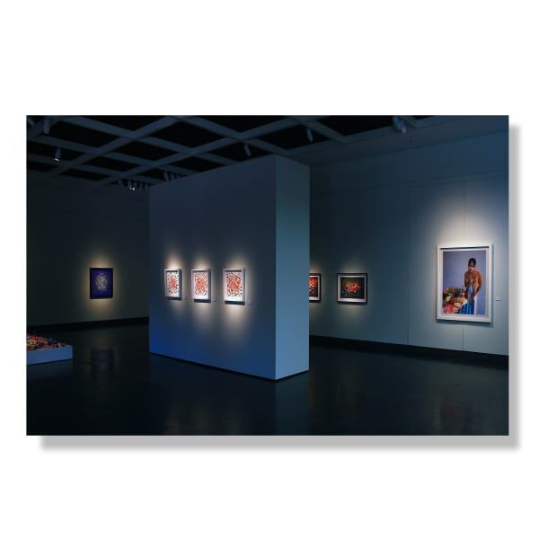 Carlos Betancourt: recent artworks