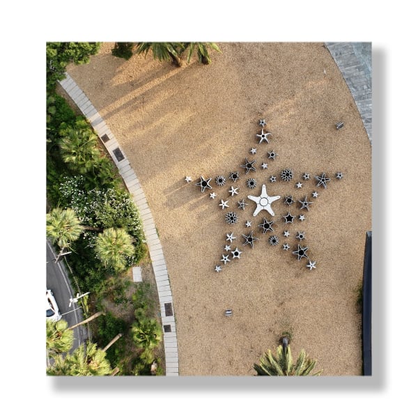 The Reef Star. Nice France 2025