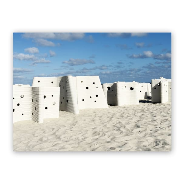 Carlos Betancourt and Alberto Latorre, Star Compass: The Miami Reef Star, ( several secondary images) Carlos Betancourt and Alberto Latorre , 2024