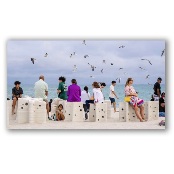 Carlos Betancourt and Alberto Latorre, Star Compass: The Miami Reef Star, Carlos Betancourt and Alberto Latorre, 2024