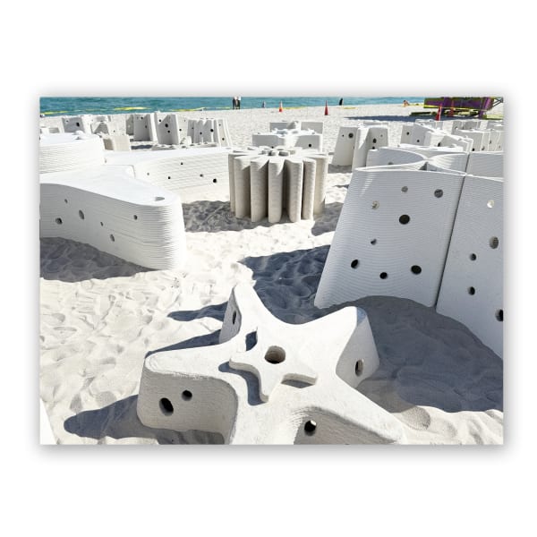 Carlos Betancourt and Alberto Latorre, Star Compass: The Miami Reef Star, Carlos Betancourt and Alberto Latorre, 2024