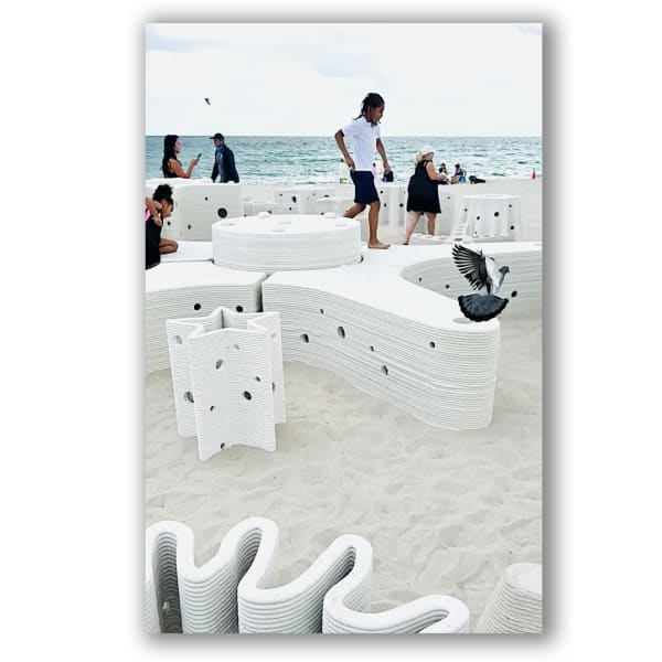 Carlos Betancourt and Alberto Latorre, Star Compass: The Miami Reef Star, Carlos Betancourt and Alberto Latorre , 2024