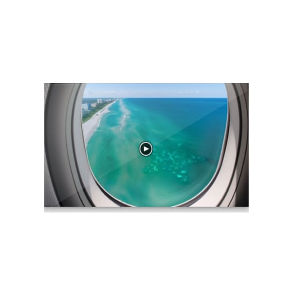 Carlos Betancourt in collaboration with Alberto Latorre., Miami Reef Sat (3D VIDEO LINK) , 2023-2025