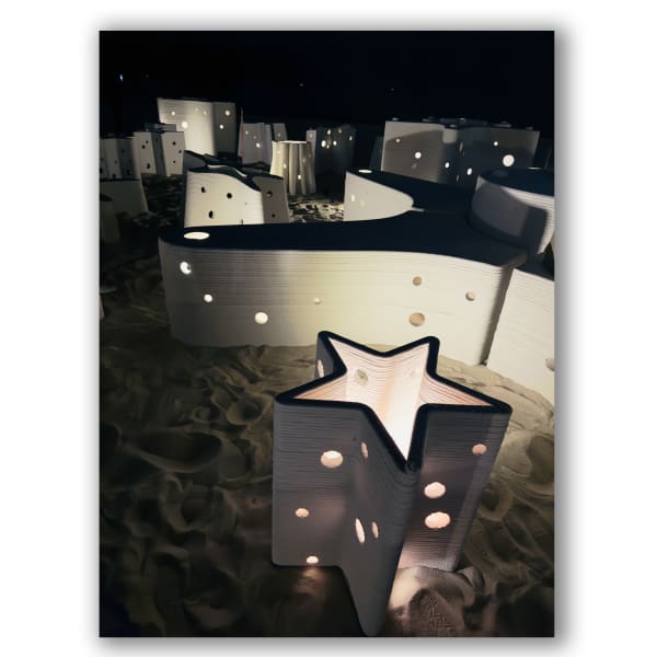 Carlos Betancourt and Alberto Latorre, Star Compass: The Miami Reef Star, Carlos Betancourt and Alberto Latorre, 2024