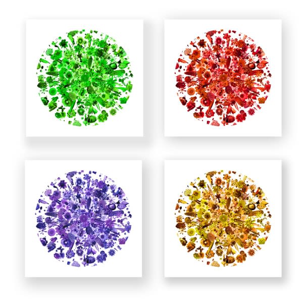 Carlos Betancourt, Re-Collections, the Seasons (commission), 2009