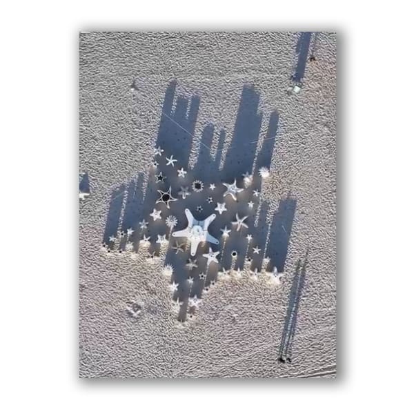 Carlos Betancourt and Alberto Latorre, Star Compass: The Miami Reef Star, Carlos Betancourt and Alberto Latorre, 2024