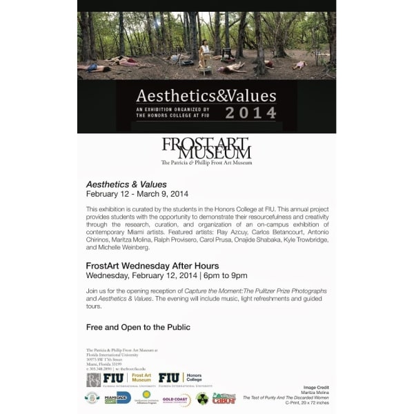 Aesthetics and Value