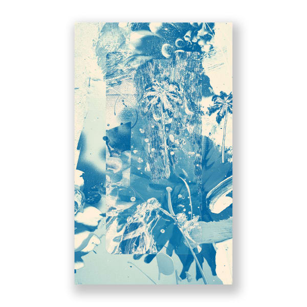 Splendid Details 17, 2023 $1800.00, ONE OF KIND, HAND SIGNED PRINT ON PAPER.