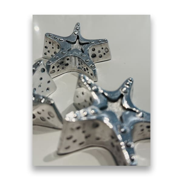 Miniature Reef Star reproduction, SOLD (sold to raise funds for the Miami Reef Star, The Reefline ), Hand crafted, open...