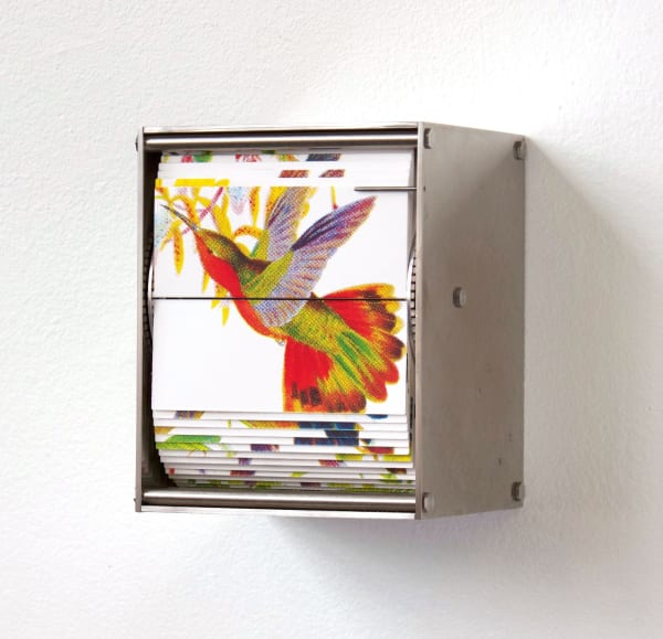 J.C. Fontanive - Purple-Throated Euphonia Songbird, 2021