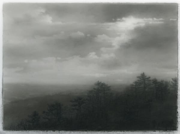 Dozier Bell Pine ridge, 2018 charcoal on Mylar 3.75 x 5 inches