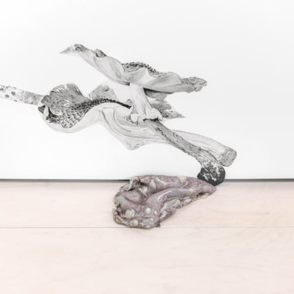 A Garden For Beatrix series, Installation Shot