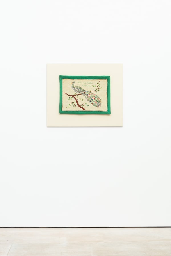 Feliciano Centurón Exhibition I Am Awake South American Art