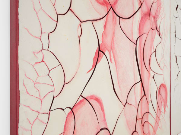 Detail of 'Adriana Varejão, Carnívoras Brancas [White carnivorous], 2012' The Women’s Century — Female Perspectives in Brazilian Art. Cecilia Brunson Projects, London (4 June - 15 July 2021) Photography by Eva Herzog