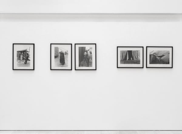 Paz Errázuriz Circo [Circus]