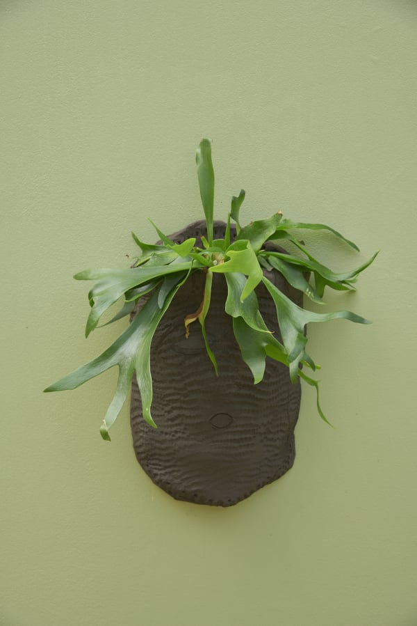 Lucía Pizzani Seres Tropicales, 2024 Mural installation, 10 black stoneware clay sculptures imprinted with corn, live plants Dimensions variable