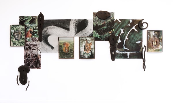 Lucía Pizzani, Acorazada, 2022, wall installation composed of 4 framed original collages, 6 Stoneware ceramic wall sculptures and wallpaper, 500 x 200 cm. Courtesy of Radicants International
