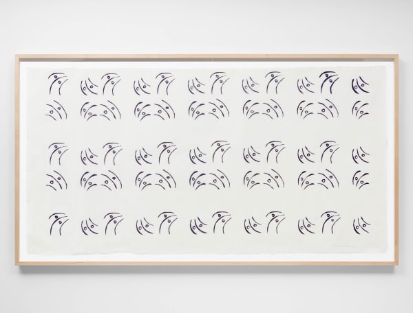 Sheronoanawe Hakihiiwe, Wapukuhirimi (Mariposa de tamaño mediano / Medium sized butterfly), 2019