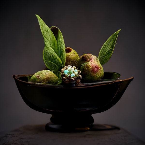 Copper Bowl with Bruised Fruit, 2022 Archival pigment print on paper, 10x10 up to 30 x 30 inches
