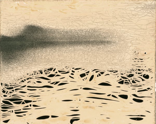 Nolan Preece, Desert #2, 2023 Quick Shine Resist Chemigram, 16 x 20 inches