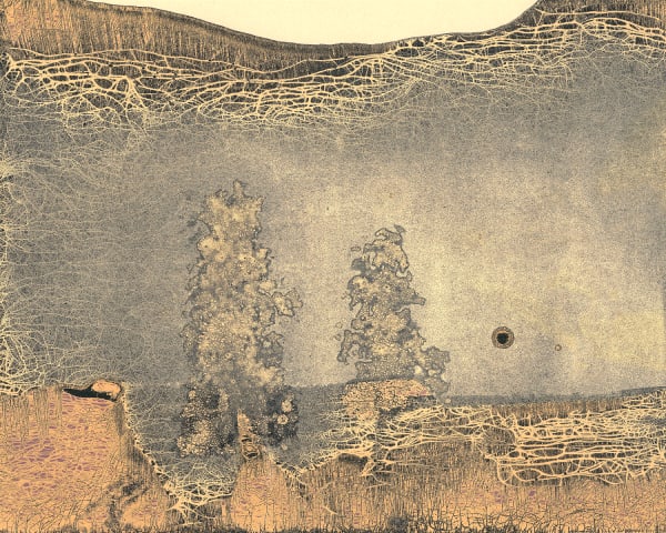 Nolan Preece, Pines #1, 2023 Quick Shine Resist Chemigram, 16 x 20 inches