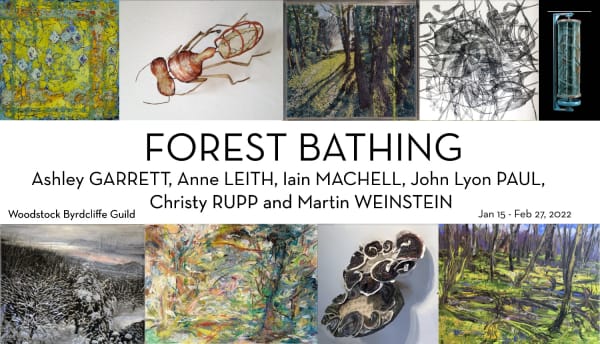 Forest Bathing - Opening Reception