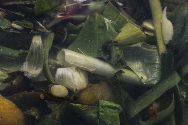 Nancy Macko Green Tumble, 2022 Archival pigment print 26 x 40 or 15 x 22.5 inches