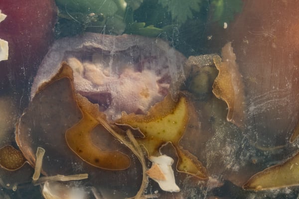 Nancy Macko Push Pull, 2022 Archival pigment print 26 x 40 or 15 x 22.5 inches