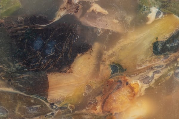 Nancy Macko Turbulence, 2020 Archival pigment print 26 x 40 or 15 x 22.5 inches