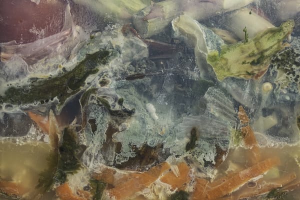 Nancy Macko Weather Patterns, 2020 Archival pigment print 42 x 64.5 or 21 x 32 inches