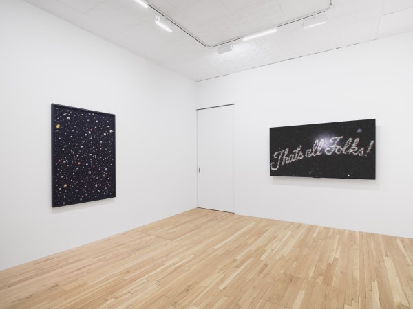 Andy Holden, What I was for what I am becoming, installation view, Charles Moffett, New York, 2024