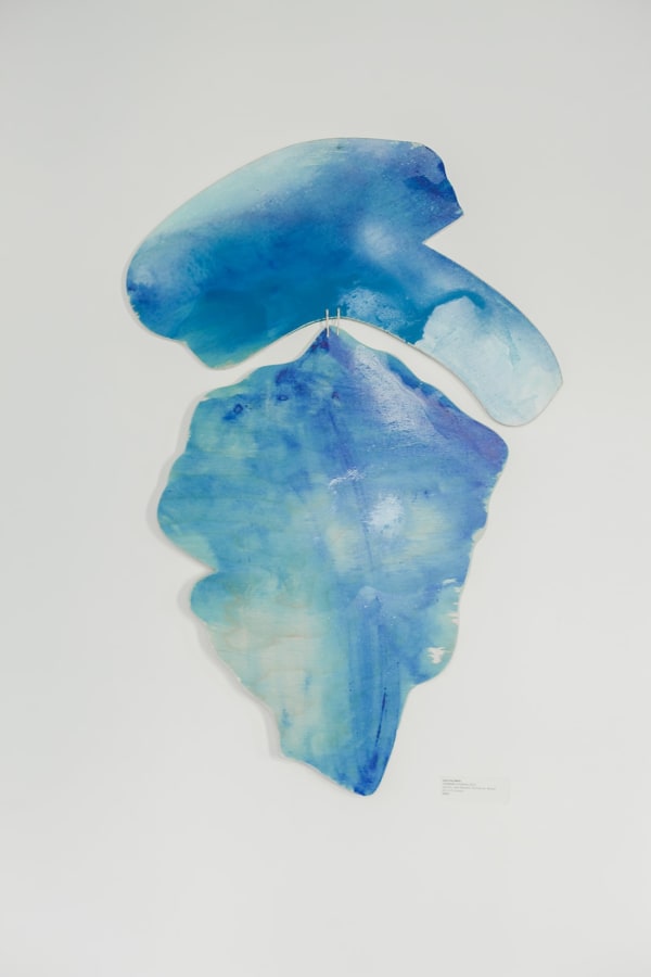 C878E529 Bf48 447B 9F21 07C86Abc0Bd1