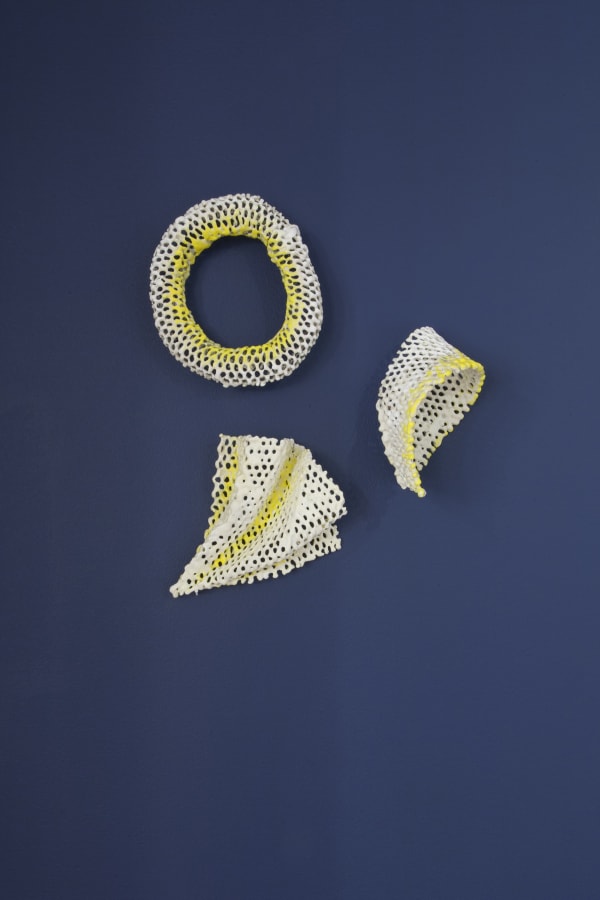 Kelly Sheppard Murray Just a Hint (Curiosity) Encaustic & wire mesh size variable