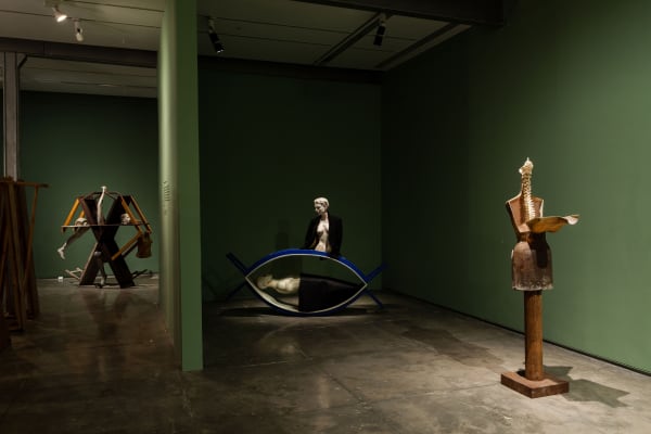 Vivan Sundaram Postmortem (After Gagawaka), display view, 2014-2015