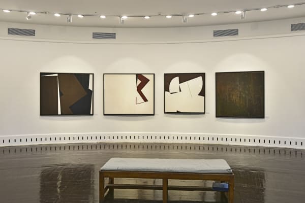 Mehlli Gobhai Don't ask me about color, Display View, 2020 level 2, The NGMA, Mumbai