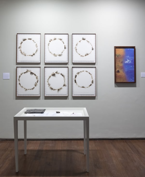 Jitish Kallat Display View, Modus Operandi II , 2018-19 (Wind Study & Sighting) (JITISH130108)