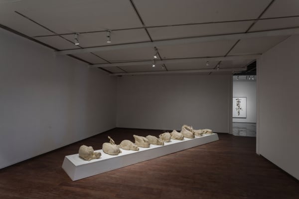 Jitish Kallat Sightings, display view, 2016