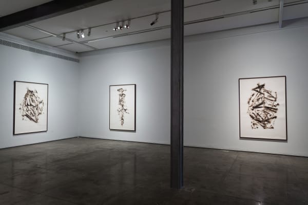 Jitish Kallat Sightings, display view, 2016