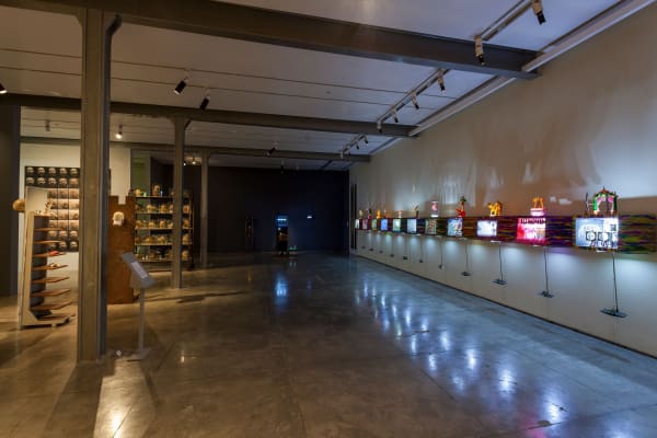 Aesthetic Bind: Cabinet Closet Wunderkammer, display view, 2014