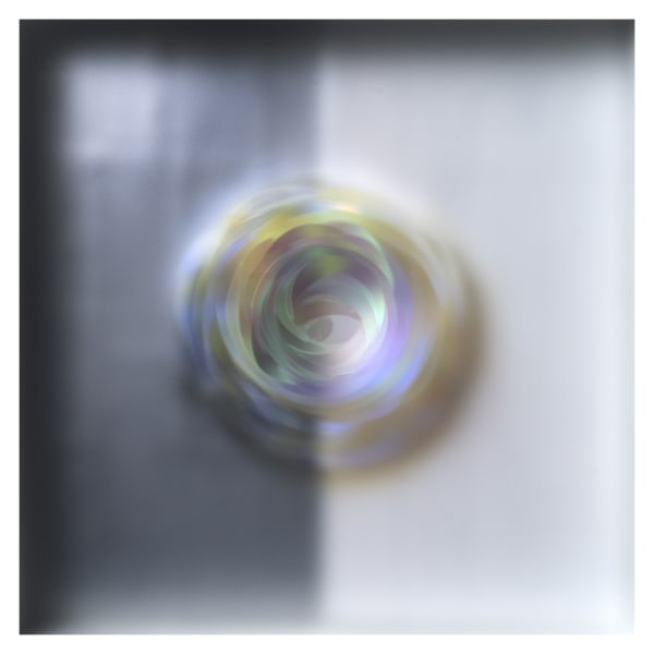Carrie Seid - Whorl , 2023