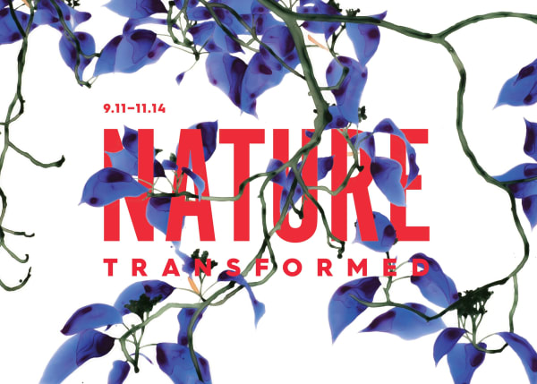 Nature Transformed