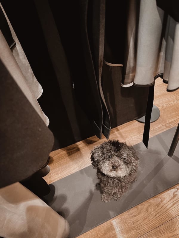 Chiara Del Vecchio Press Day Tonello 3