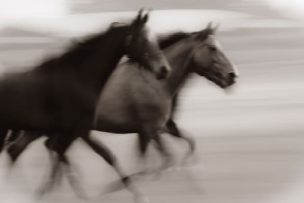 Breath and Thunder - BRKTRG05, 2021