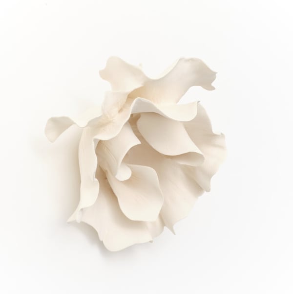 Marina Nimmo, Cornflower #2, 2025