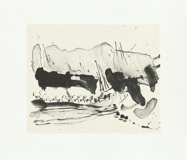 Danielle Creenaune, Quadern de Pedra #1, 2019