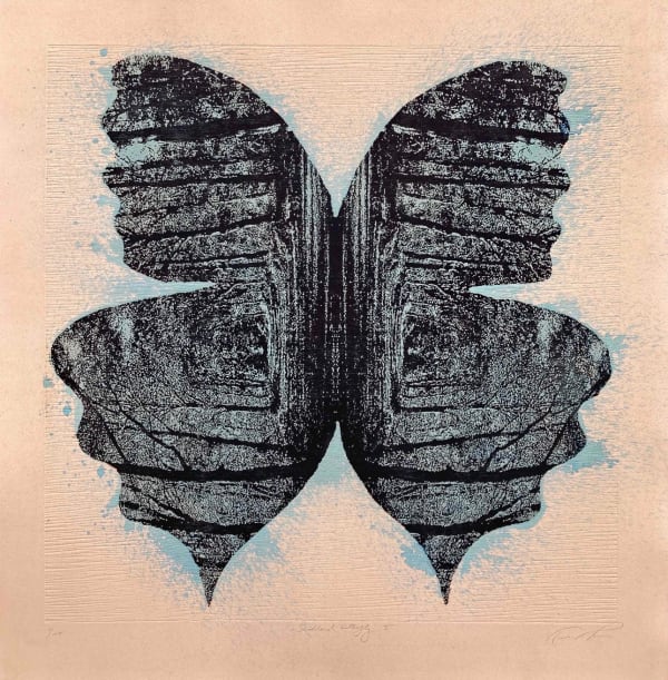Trevor Price, WOODLAND BUTTERFLY II, 2023