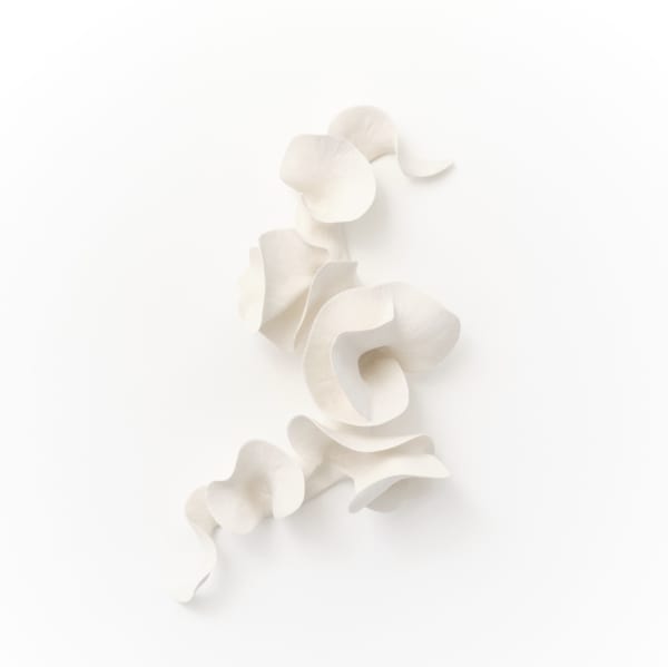 Marina Nimmo, Flow, 2025